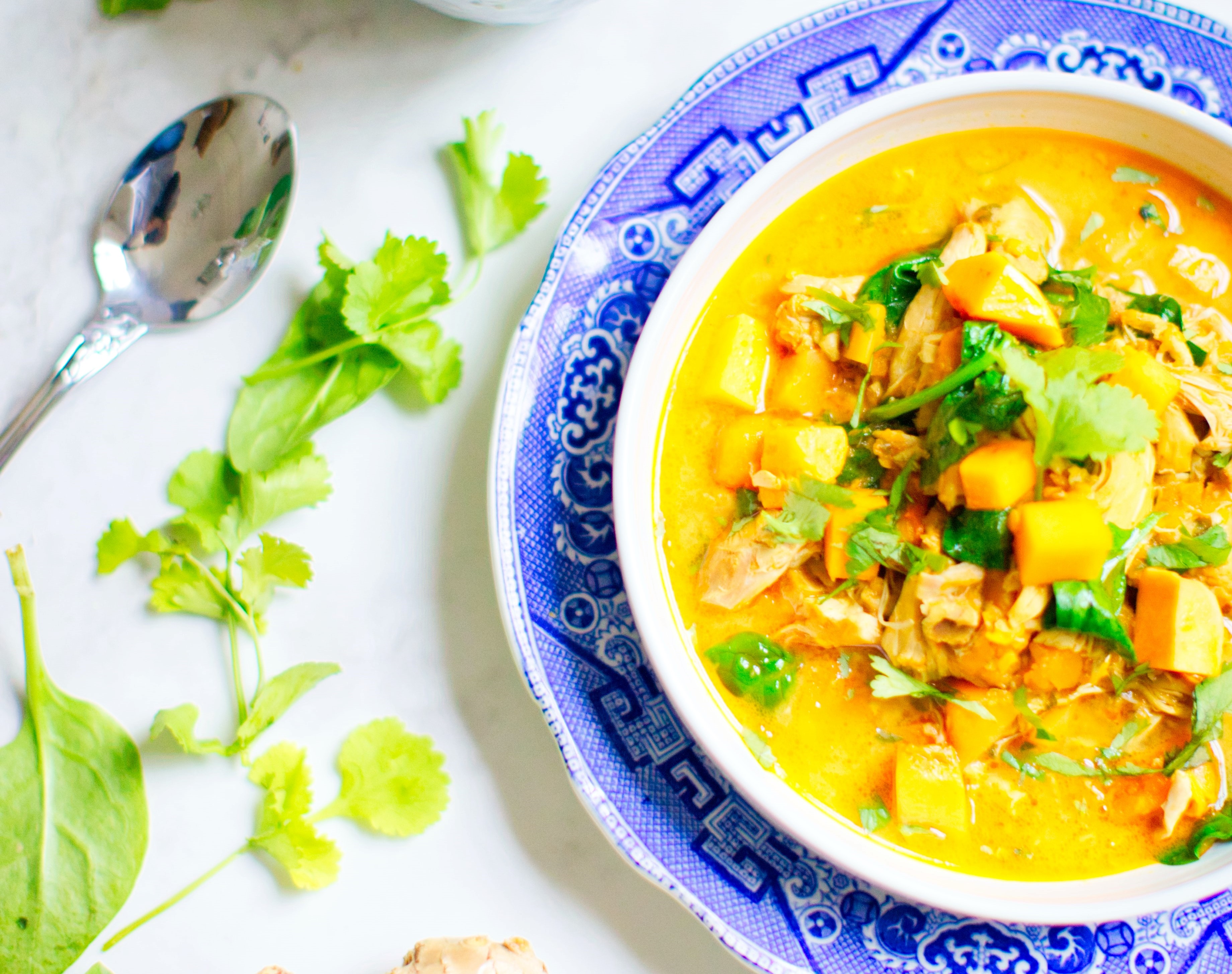 Colombo dish (yellow/orange spices) in a blue and white plate, with leaves and a spoon next to it